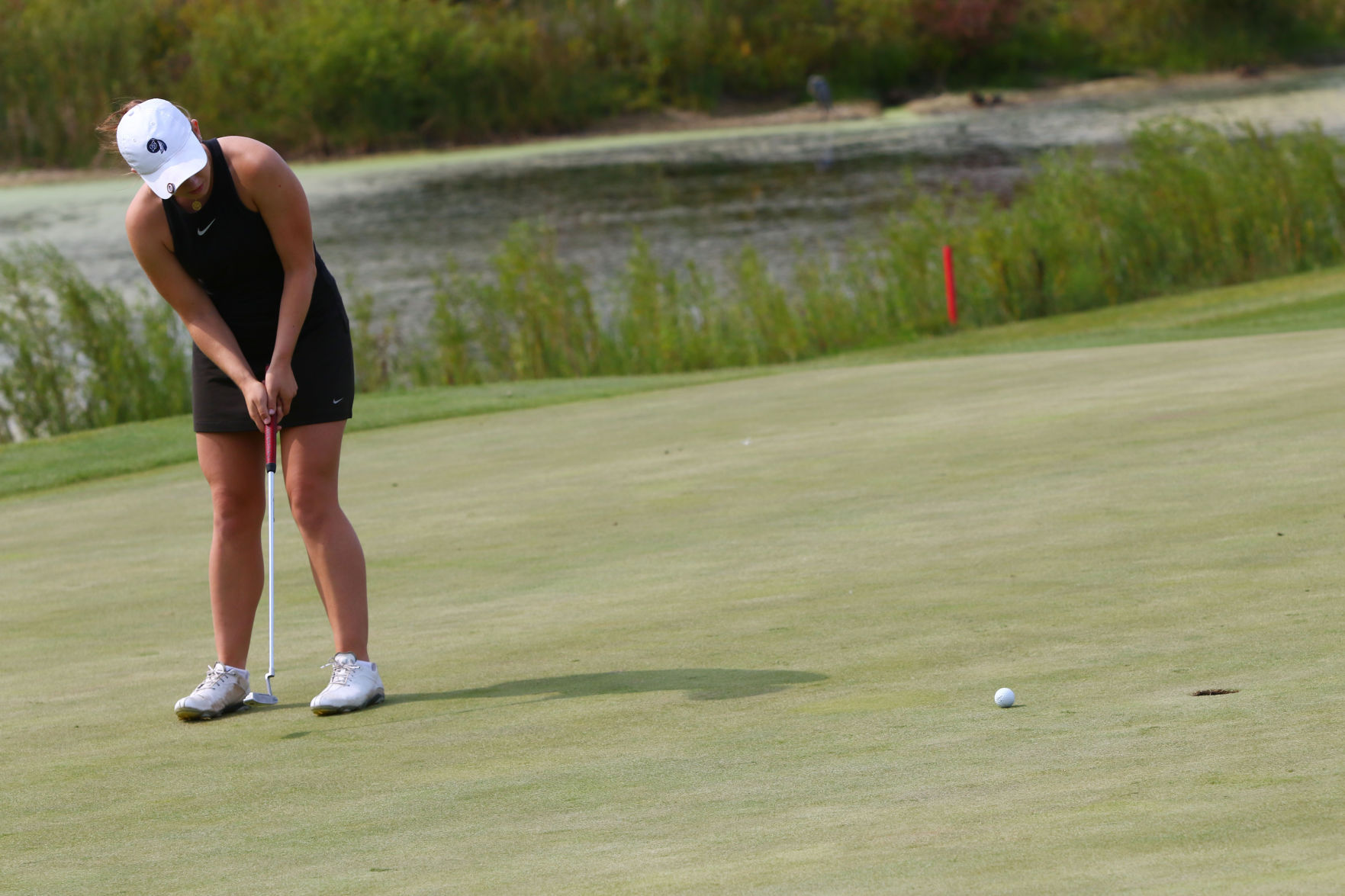 Gallery: Girls Golf Duneland Athletic Conference Tournament